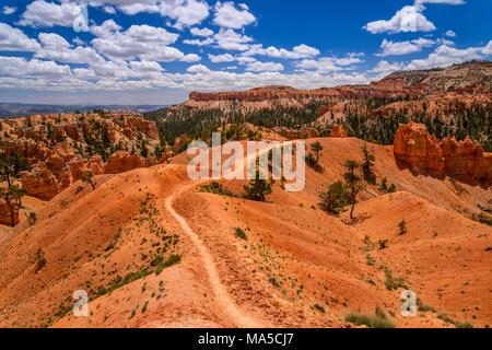 Utah, Utah, Garfield County, Bryce Canyon National Park, Amphitheater, View from the Queens Garden Trail Stock Photo