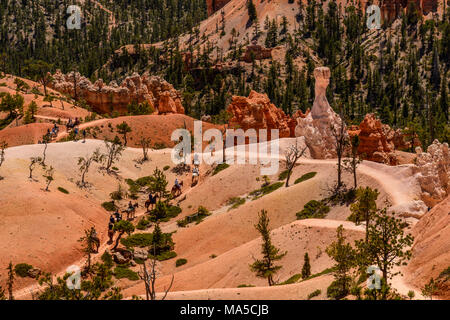 USA, Utah, Garfield County, Bryce Canyon National Park, Amphitheater, Queens Garden Trail Stock Photo