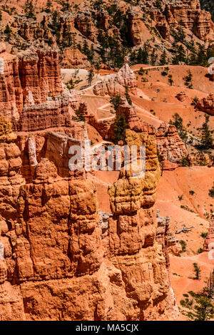 USA, Utah, Garfield County, Bryce Canyon National Park, Sunrise Point, Amphitheater with Queens Garden Stock Photo