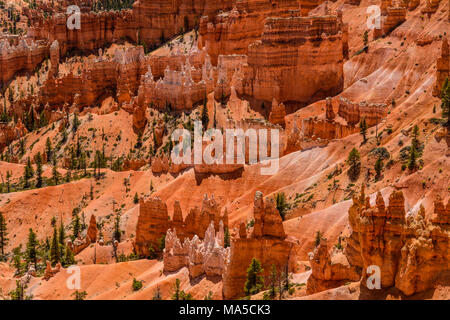 USA, Utah, Garfield County, Bryce Canyon National Park, Sunrise Point, Amphitheate Stock Photo