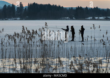 Three cross-country skiers on the frozen Staffelsee in Upper Bavaria, Germany Stock Photo