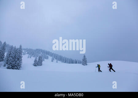 ski tourers while climbing the Lenggrieser Hütte (hut) in winter, Lenggries, Bavarian Prealps, Bavaria, Germany Stock Photo