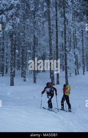 ski tourers while climbing the Lenggrieser Hütte (hut) in winter, Lenggries, Bavarian Prealps, Bavaria, Germany Stock Photo