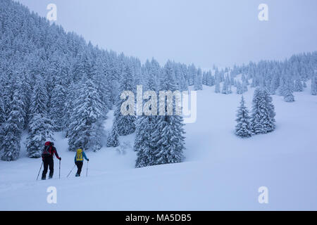 ski tourers while climbing the Lenggrieser Hütte (hut) in winter, Lenggries, Bavarian Prealps, Bavaria, Germany Stock Photo