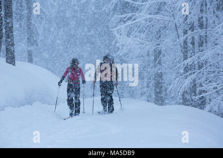 ski tourers while climbing the Lenggrieser Hütte (hut) in winter, Lenggries, Bavarian Prealps, Bavaria, Germany Stock Photo