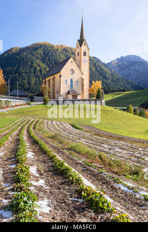 The parish church of Kartitsch in the Gailtal, Lienz district, Tyrol, Austria Stock Photo