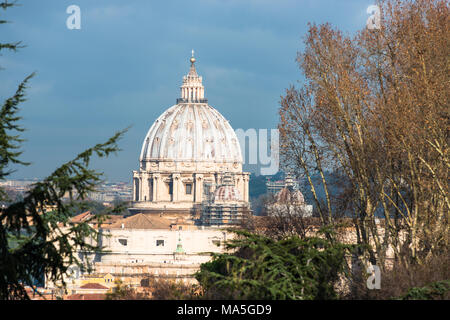 St Peter's Cathedral Cupola seen from from Janiculum Terrace. Rome, Lazio, Italy. Stock Photo