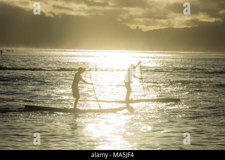 Stand up paddlers working out at sunset, Papeete, Tahiti, French Polynesia Stock Photo