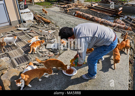 Aoshima japan hi-res stock photography and images - Alamy