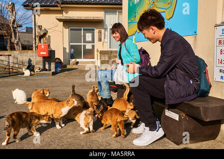 Japan, Shikoku island, Ehime region, Aoshima island, Cat island Stock Photo  - Alamy