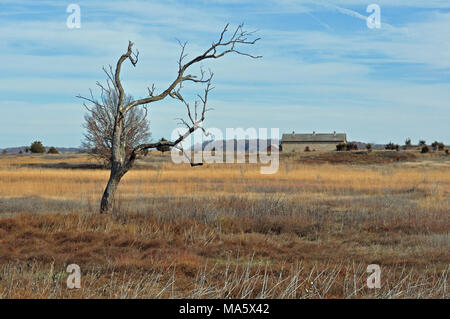 Sand Prairie. Sand prairie habitat of the Driftless Area. Stock Photo