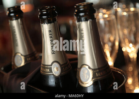 Louis Roederer Champagne bottles in ice bucket. Stock Photo