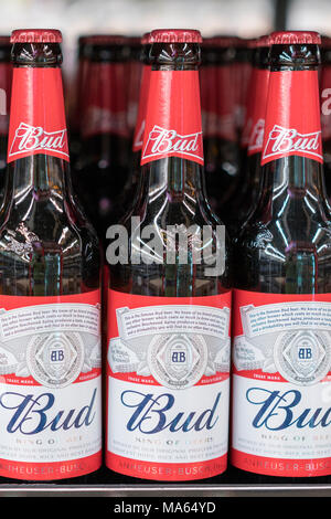 Kiev, Ukraine. February 18 2018. Shelf with beer'Bud'. Stock Photo