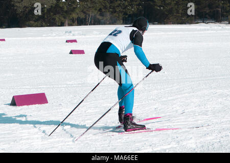 skier woman is skiing down the slope in the woods in winter Stock Photo