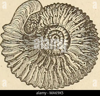 Elements of geology, or, The Elements of geology, or, The ancient ...