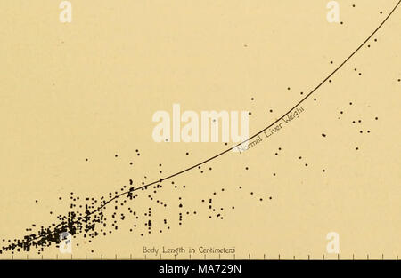 . The effects of inanition and malnutrition upon growth and structure . 1 1 I I L 80 90 100 110 1Z0 IX) 140 150 160 1T0 Fig. 88.—Graph showing the individual weights of the human liver, according to body- length, in atrophic or emaciated cases, up to 20 years of age. Data from various sources. Curve of normal liver weight from data compiled by Prof. R. E. Scammon. The liver appears below the normal weight in most cases. period of subnutrition (1916-1918) with an earlier period of good nutrition (1914-1915). Data for body weight were lacking, however. From 50 necrop- sies in cases of starvation Stock Photo