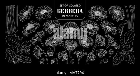 Set of isolated gerbera in 26 styles. Cute hand drawn flower vector illustration only white outline on black background. Stock Vector
