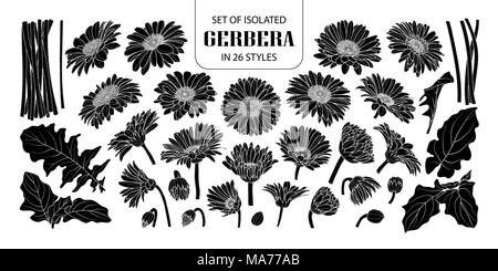 Set of isolated silhouette gerbera in 26 styles. Cute hand drawn flower vector illustration in white outline and black plane on white background. Stock Vector