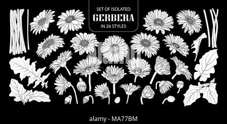 Set of isolated white silhouette gerbera in 26 styles. Cute hand drawn flower vector illustration in white plane without outline on black background. Stock Vector