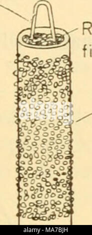 . Electronic apparatus for biological research . Refractory filling BaO Symbol fTJ^"''' Cathode lead-in wire U. Heater lead -in wires Figure 8.2 Such a cathode has a large thermal capacity and may be heated by a.c. or d.c. The cathode and the heater are insulated from each other, so that a number of valves with different cathode potentials may be fed from a common heater supply; furthermore the cathode surface is equipotential. On the whole the indirectly heated cathode is the more versatile device, and valves possessing them are much more common in electrobiological work. OTHER ELECTRODE Stock Photo