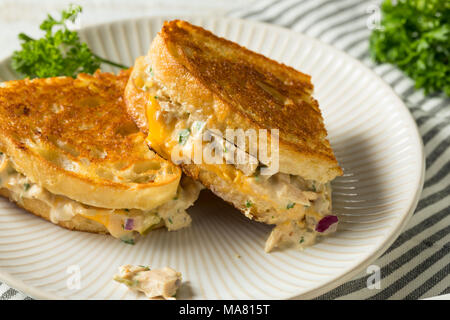 Homemade Toasted Tuna Melt Sandwich Ready to Eat Stock Photo