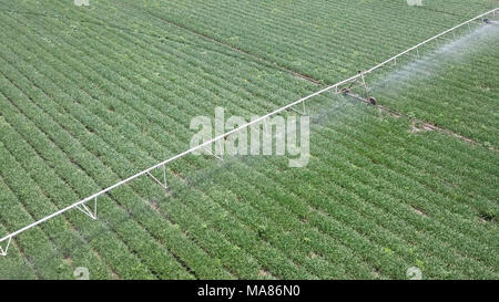 Irrigation system at work - Aerial image. Irrigation is the application of controlled amounts of water at needed intervals Stock Photo