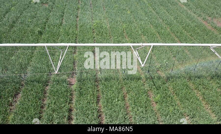 Irrigation system at work - Aerial image. Irrigation is the application of controlled amounts of water at needed intervals Stock Photo