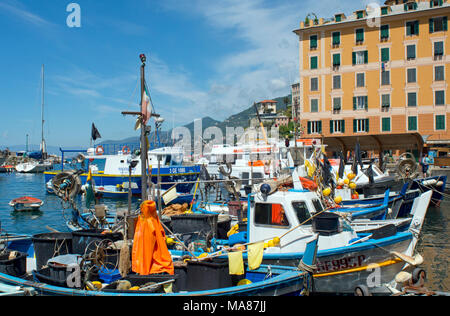 Harbour with fishing boats, Camogli, Liguria, Riviera di Levante, Italy Stock Photo