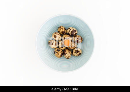 Quail eggs in blue bowl on white background with copy space. Top View. Stock Photo