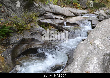 beautiful stream with water and stones in spring on a mountain Stock Photo