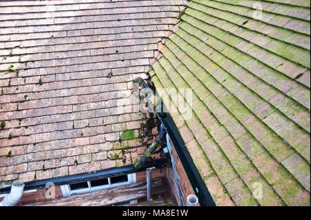 Part of Set of pictures showing original disrepair, then renovation of tiled roof, gutters etc on 1900's brick house in Shropshire UK Stock Photo