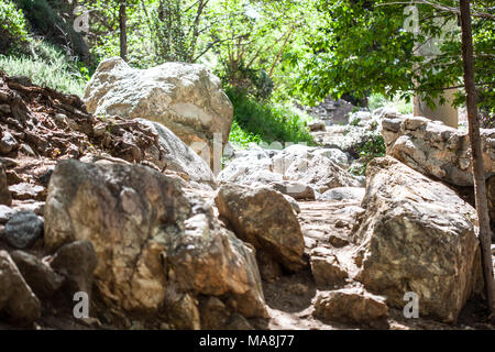 Eaton Canyon Natural Area is a 190-acre zoological, botanical, and geological nature preserve situated at the base of the beautiful San Gabriel Mounta Stock Photo