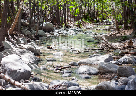 Eaton Canyon Natural Area is a 190-acre zoological, botanical, and geological nature preserve situated at the base of the beautiful San Gabriel Mounta Stock Photo