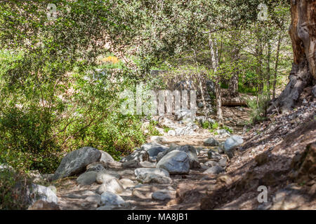 Eaton Canyon Natural Area is a 190-acre zoological, botanical, and geological nature preserve situated at the base of the beautiful San Gabriel Mounta Stock Photo