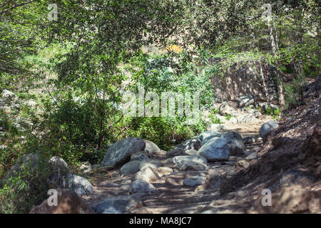 Eaton Canyon Natural Area is a 190-acre zoological, botanical, and geological nature preserve situated at the base of the beautiful San Gabriel Mounta Stock Photo