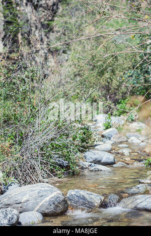 Eaton Canyon Natural Area is a 190-acre zoological, botanical, and geological nature preserve situated at the base of the beautiful San Gabriel Mounta Stock Photo