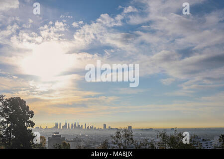 Stunning panoramic morning view of Downtown Los Angeles and Hollywood shot from Runyon Canyon, Hollywood Hills, California Stock Photo