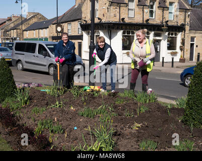 Washington in Bloom Group volunteers at work preparing for planting for Britain in Bloom competition, Washington Village, north east England, UK Stock Photo