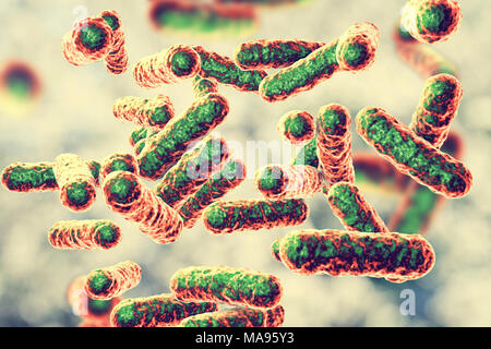 Bartonella quintana bacteria, illustration. This is the causative agent of trench fever, and was formerly known as Rochalimaea bacteria. Stock Photo