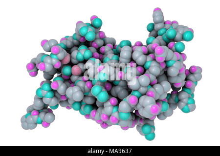 Somatotropin. Computer model of a molecule of the human growth hormone (hGH) somatotropin (or somatotrophin). This hormone is a protein, and is made up of 191 amino acids. It is secreted from the anterior part of the pituitary gland. It plays a vital role in the normal growth of a human. It is also used to retard the effects of ageing, though a possible side-effect is an increased risk of cancer. It is also abused as a drug by athletes wanting to build muscle and improve sporting performances. Stock Photo