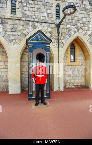 Soldier in Queen's Guard at Windsor Castle, England, with red uniform and traditional black bearskin cap or busby standing to attention, Windsor, UK Stock Photo