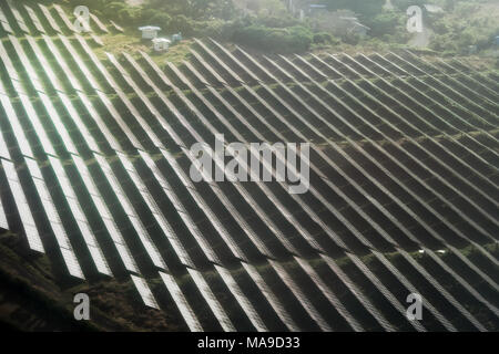 A large area occupied by solar panels at the airport. Solar panels face sunlight on green field. Solar panels top view. Stock Photo