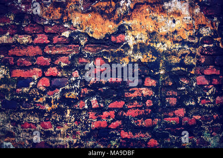 the old red brick wall is covered with mold. Dilapidated wall covered with mold and moss in an abandoned house. Brick wall painted in bright colors Stock Photo