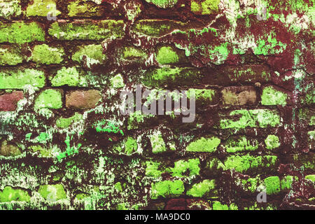 Sea green broken cracked brick wall. moldamer, mouldbrit, moldamer, mouldbrit, mildew fungus rot moldy musty must. Dilapidated wall covered with mold  Stock Photo