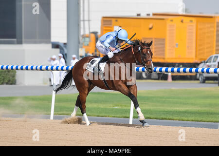 Dubai, UAE, 31st March 2018. Heavy Metal, ridden by jockey Ryan Moore wins the Godolphin Mile race at the 2017 Dubai World Cup. Trained by Sandeep Jadhav the horse is owned by Shaikh Hamdan bin Mohammed al Maktoum, Crown Prince of Dubai, UAE Credit: Feroz Khan/Alamy Live News Stock Photo