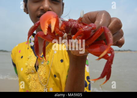 Mandarmani , West Bengal, India. 30th March 2018. Red Crab at Mandarmani. Primarily at confluence of Jalda river at Bay of Bengal known as Mohana.s Credit: Rupa Ghosh/Alamy Live News. Stock Photo