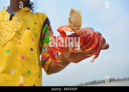 Mandarmani , West Bengal, India. 30th March 2018. Red Crab at Mandarmani. Primarily at confluence of Jalda river at Bay of Bengal known as Mohana.s Credit: Rupa Ghosh/Alamy Live News. Stock Photo