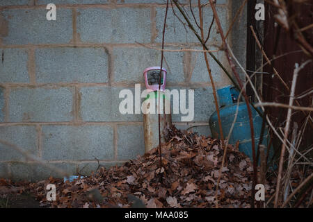 Old rusty gas cilinders on backyard in the leaves . Stock Photo