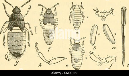 . Economic entomology for the farmer and fruit-grower .