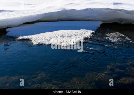 spring thawed patch in the ice of the river on a sunny day Stock Photo
